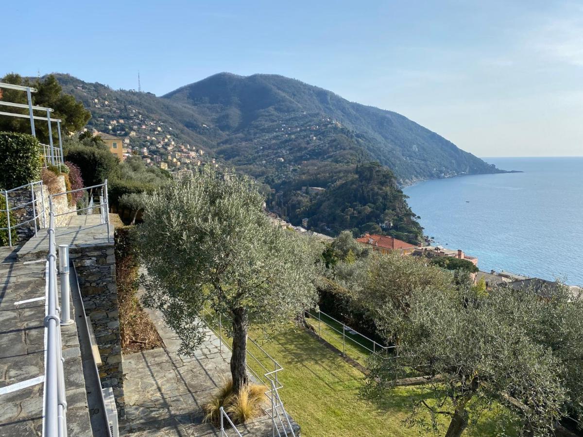 Casa Mirella, Un Gioiello Unico Villa Камогли Екстериор снимка
